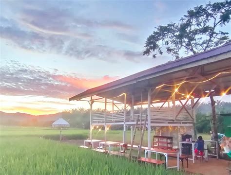 Butuh Tempat Nongkrong Yuk Ke Angkringan Dapur Ndeso