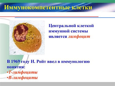 Учение об иммунитете - презентация онлайн