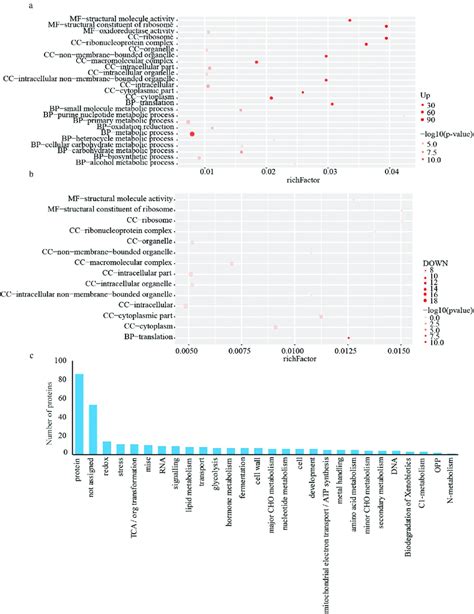 Function Classification Of Differential Abundance Proteins Daps From Download Scientific