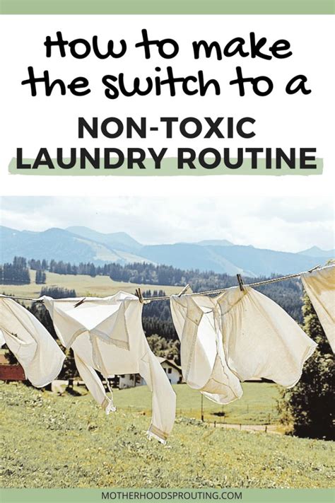 Switch To A Safer Non Toxic Laundry Routine