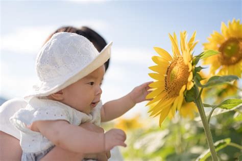 Premium Photo | A baby in a field of sunflowers