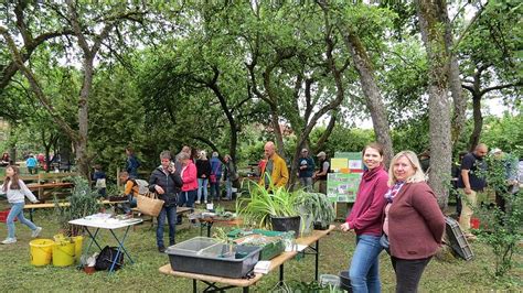 Der Euerdorfer Gartenbauverein Organisierte Eine Pflanzentauschb Rse