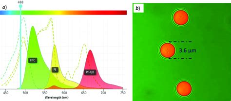 A Absorption And Emission Spectra Of Fitc Pe And Pe Cy