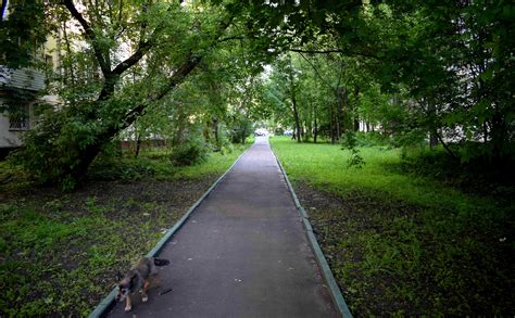 Renovation program to destroy Moscow's greenest neighborhoods