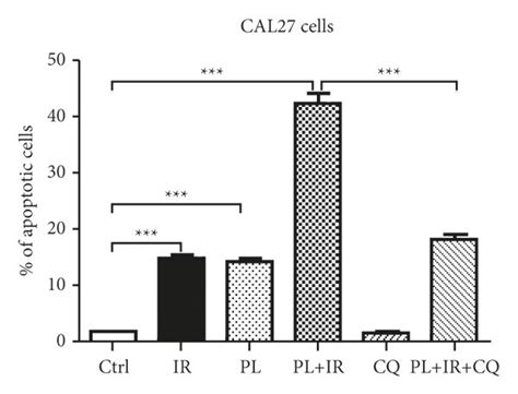 Combined Pl And Ir Treatment Promotes G2m Arrest And Apoptosis In Tscc