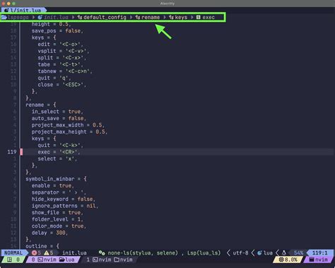 Maclazy Nvim Python Lua Lsp