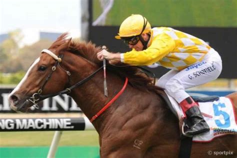 Regimental Pride Aimed At Magic Millions