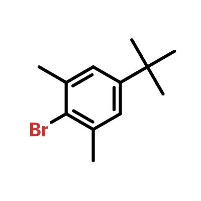 Good Price Cas Bromo Tert Butyl Dimethylbenzene