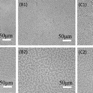 Phase Contrast Optical Microscopic Images Of The PS PI 6 4 Wt Wt