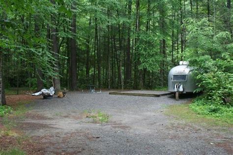 Site 10 Loop Cataloochee Campground At Cataloochee Campground Nc