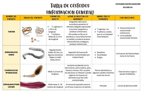 Tabla de Céstodos Cleo Proudmoore uDocz