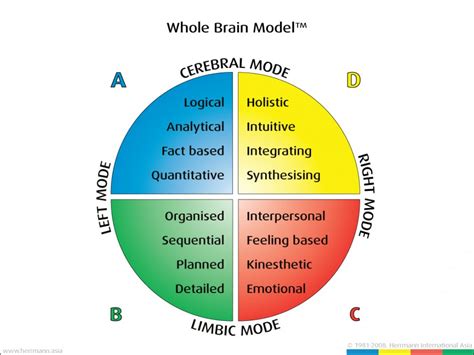 Hbdi Whole Brain Model Facilitating Success