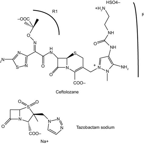 PDF Profile Of Ceftolozane Tazobactam And Its Potential In The