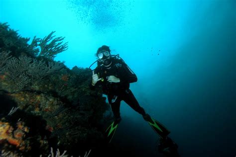 Los Mejores Sitios De Buceo En Santa Marta Aqua Sport Divecenter