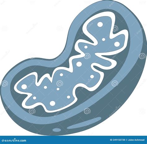 Mitochondria The Powerhouse Of The Cell Cartoon Vector | CartoonDealer ...