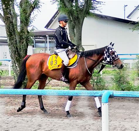 【キーンランドc】連覇狙うレイハリアは微調整で十分 田島調教師「うまく体を動かせていた」 Umatoku 馬トク