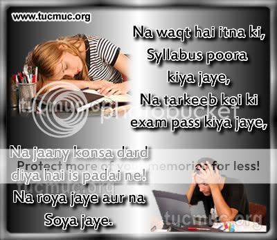 Funny Quotes About Exams. QuotesGram