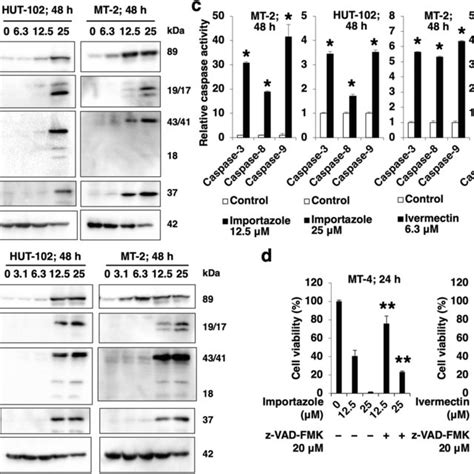 Importazole And Ivermectin Induce Apoptosis In Htlv Infected T Cell