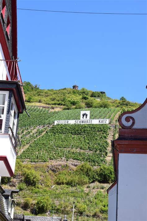 Zell An Der Mosel Germany Edge Of Zell And The Black Cat