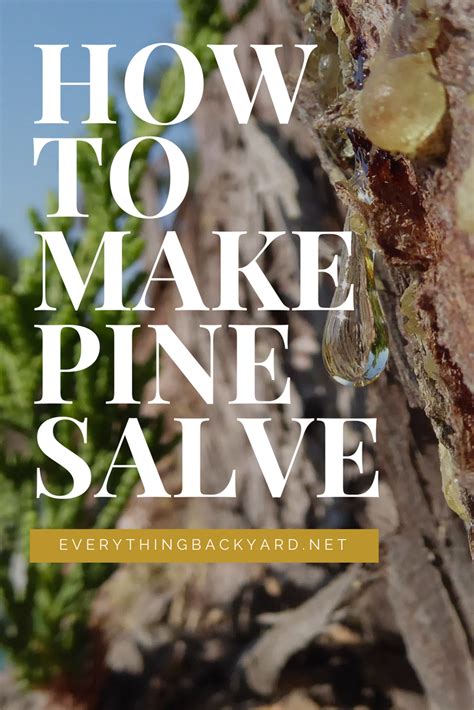 How To Make Your Own Best Pine Salve Herbal Salves Salve Recipes