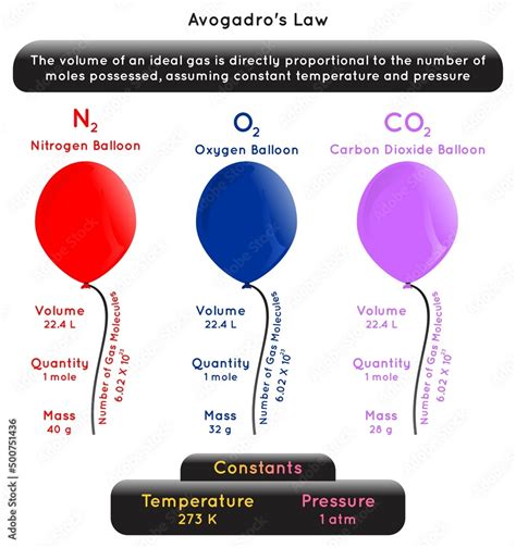 Avogadro Law Infographic Diagram Example Nitrogen Oxygen Carbon Dioxide