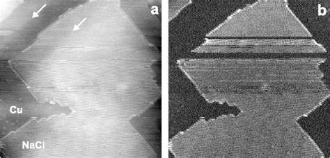 Figure From Atomically Resolved Edges And Kinks Of Nacl Islands On Cu