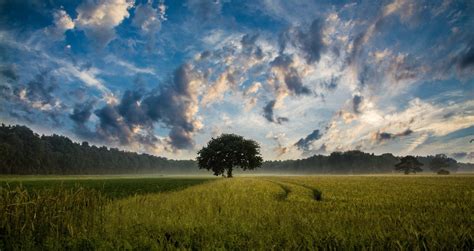 Immagini Belle Paesaggio Albero Natura Orizzonte Nube Cielo