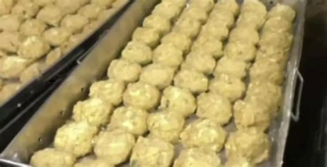 Tirumala laddu begins sacred journey to Ayodhya