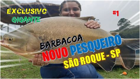 Novo Pesqueiro Em S O Roque Exclusivo Peixes Fortes Tomando Suas