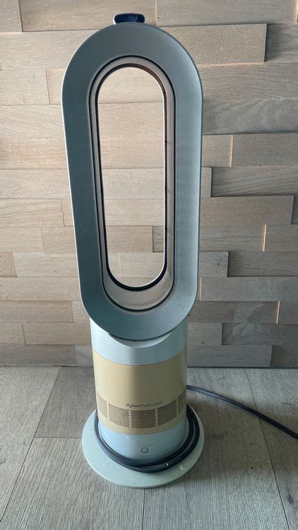 Dyson Hot And Cool Kaufen Auf Ricardo