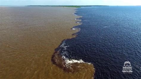 Rio Negro E Rio Solimões - Encontro das Águas - Rio Negro e Rio Solimões - YouTube