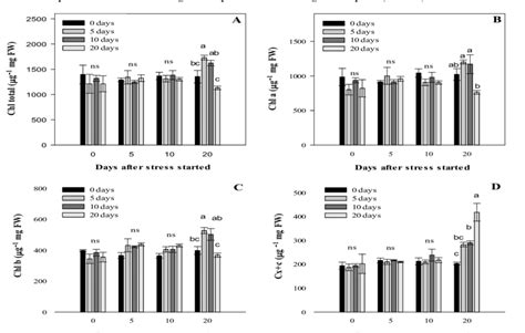 Effect Of Four Periods Of Water Deficit On A Total Chlorophyll