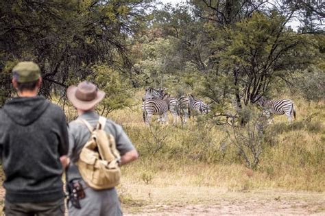 Safari Bush Walks African Safari Co