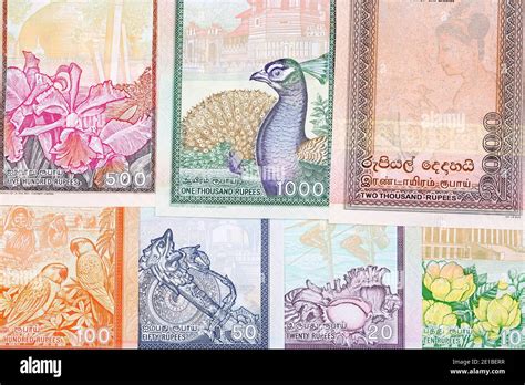 Sri Lanka Rupee Money Hi Res Stock Photography And Images Alamy