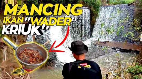 MANCING WADER DI PINGGIR AIR TERJUN LANGSUNG DI MASAK GURIH NYOO