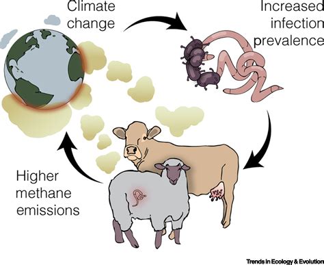 Infectious Diseases Livestock And Climate A Vicious Cycle Trends