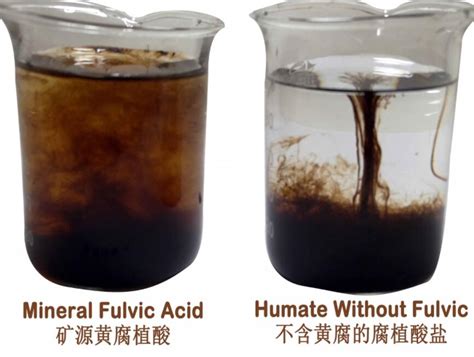 How To Use Humic Acid Fertilizer And Whats The Precautions For Use