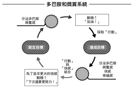 別再錯用你的腦，七招用腦法終結分心與瞎忙02 Hami書城。快讀