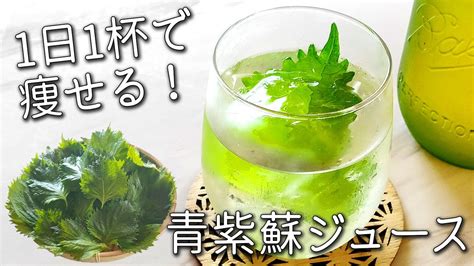 【青紫蘇ジュース】誰でも 簡単！失敗しない 作り方 毎日1杯の健康飲料 大葉ジュース 夏バテ予防に！ リンゴ酢 で ダイエット 効果も！残った