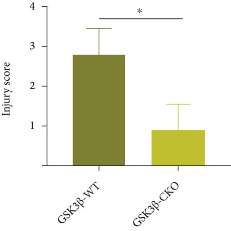 Deletion Of Gsk3β Inhibits Mir Injury A Western Blot Analysis Was