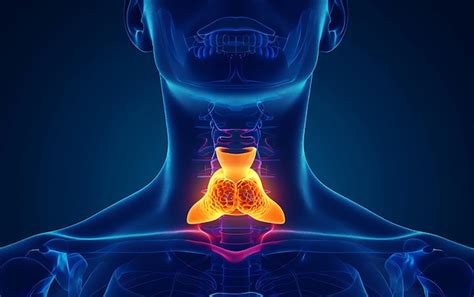 premium photo  picture   womans face    jaw