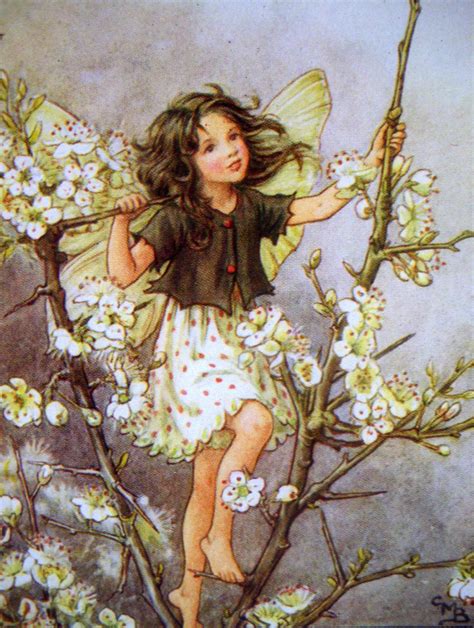 The Blackthorn FAIRY Cicely Mary Barker 1930s print Art féérique