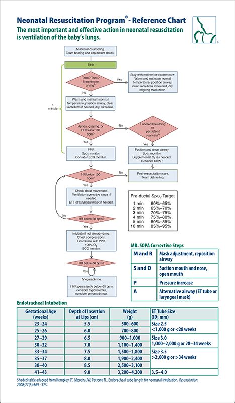 Nrp Flow Diagram Neonatal Resuscitation Program® Wall Chart