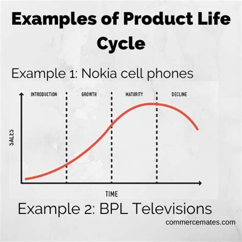 Examples of Product Life Cycle