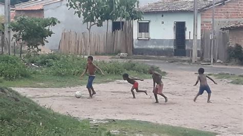 Macaco Jogando Bola Na Chuva Com Seus Colegas Youtube