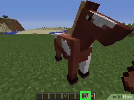 Wie Man Ein Pferd In Minecraft Pc Z Hmt