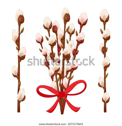 Pussy Willow Spring Branch Twig Easter Stock Vector Royalty Free Shutterstock