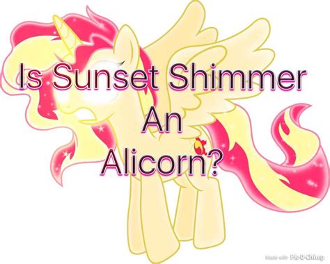 MLP Theory; Is Sunset Shimmer an Alicorn? | Cartoon Amino