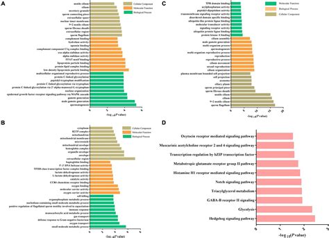 Frontiers Comparative Proteomics And Phosphoproteomics Analysis