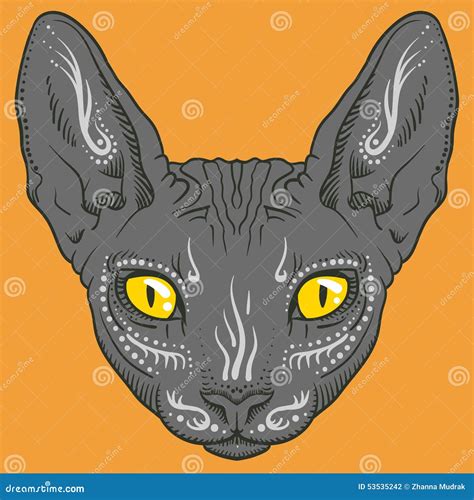 Cat Hairless Sphinx Breed Sketch Hand Drawn Engraved Style Cartoon